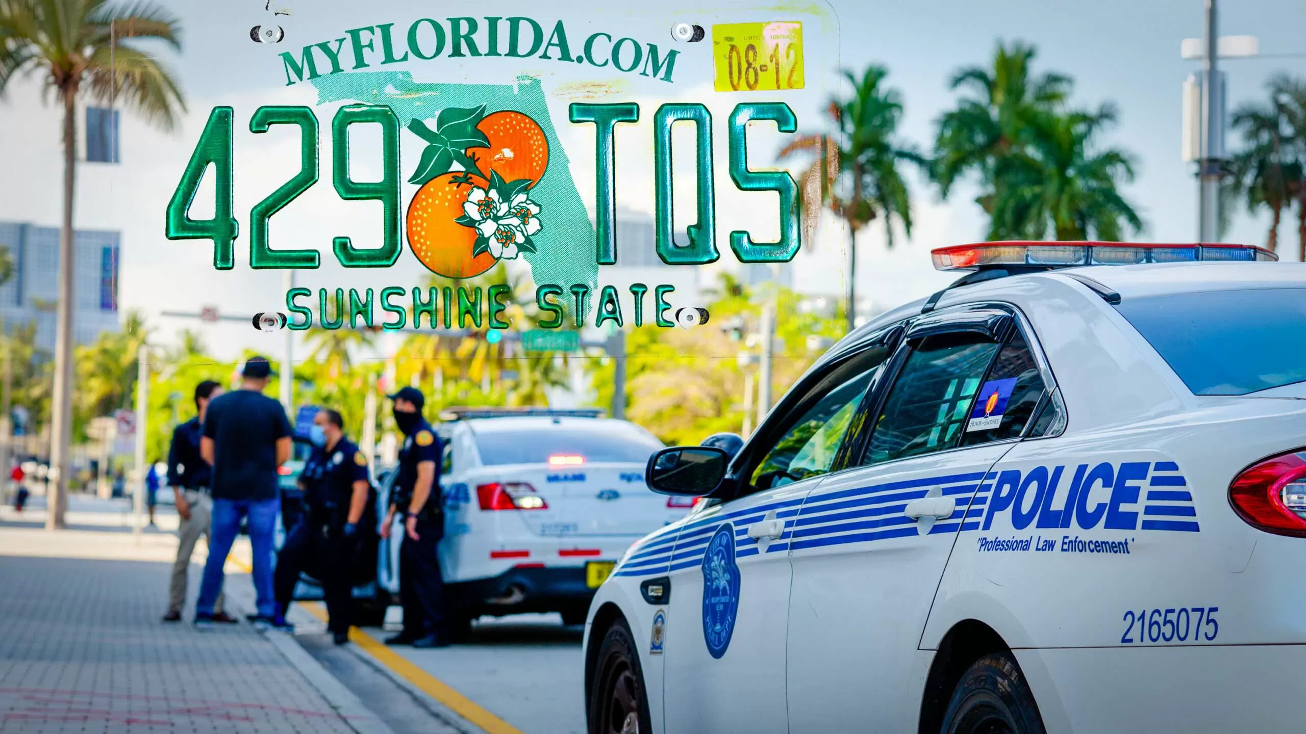 Brickbat: Unshine State