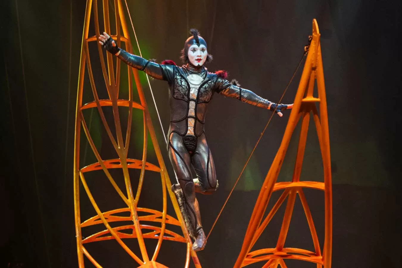 New Scientist recommends Cirque du Soleil's insect-themed OVO show