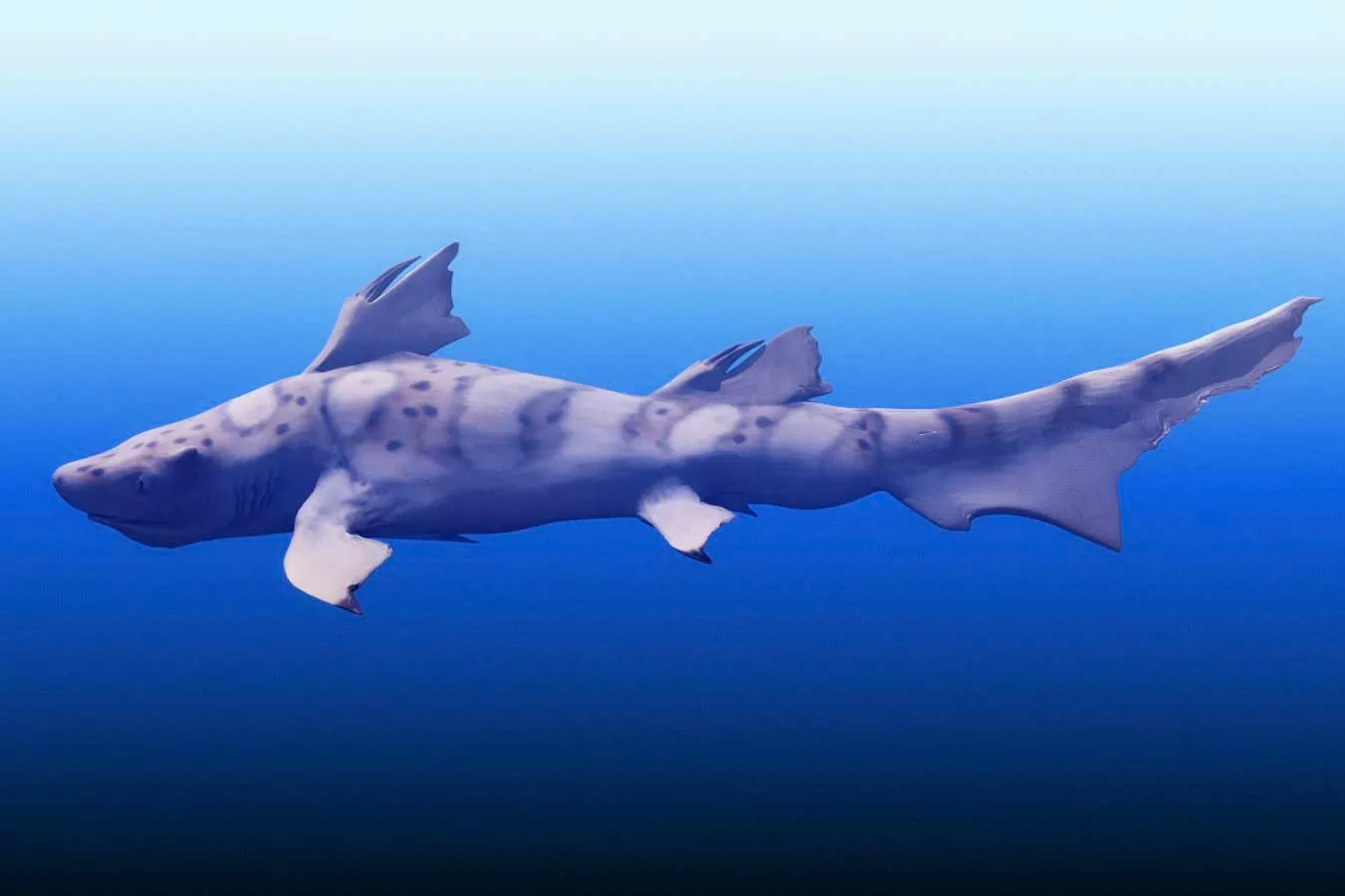Top predators still prowled the seas after the biggest mass extinction