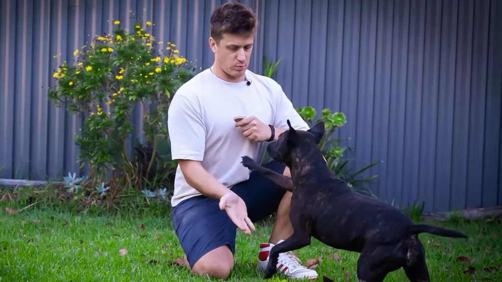 Man Successfully Designs mRNA Vaccine To Treat His Dog's Cancer