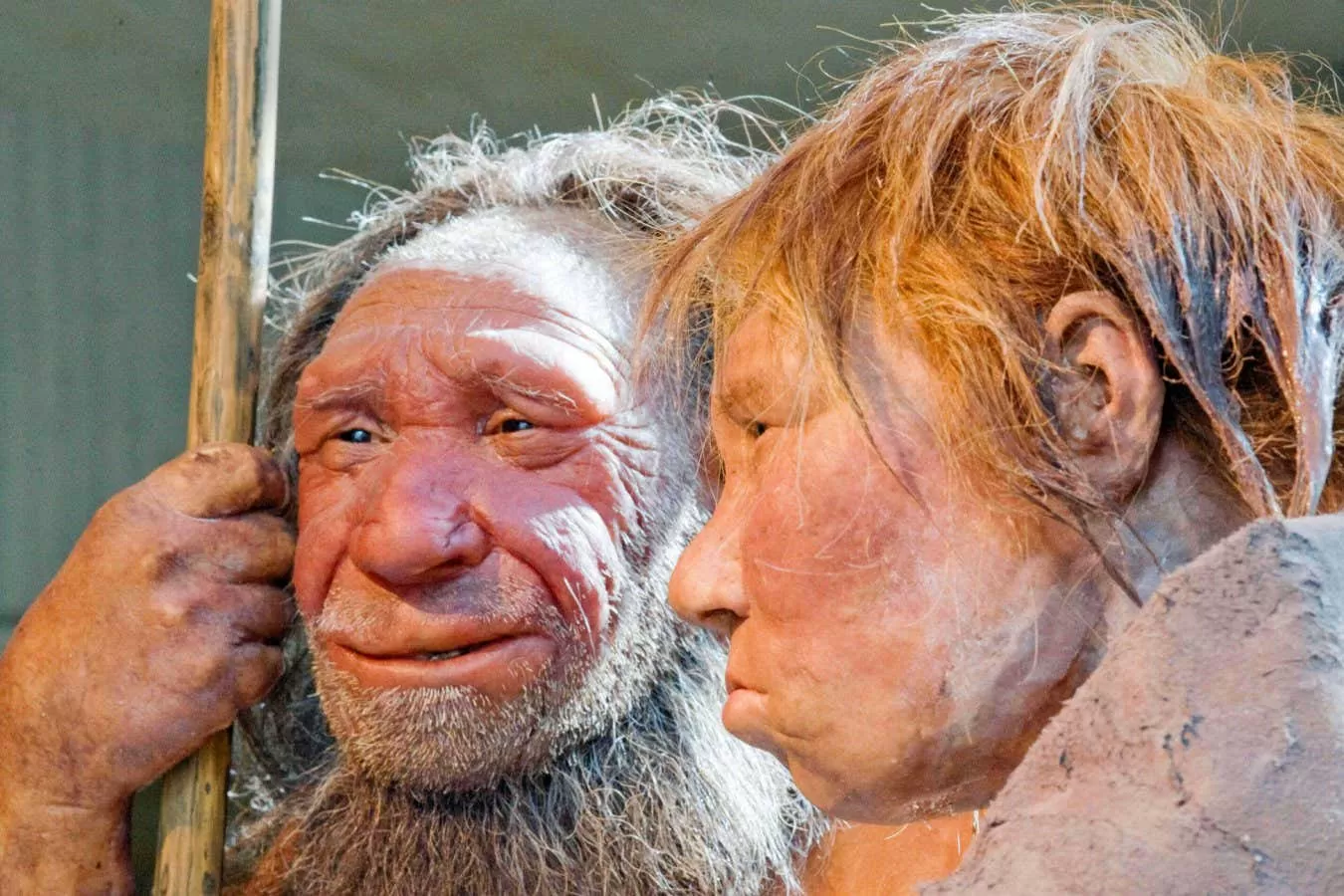 Genetic clues tell the story of Neanderthals' decline