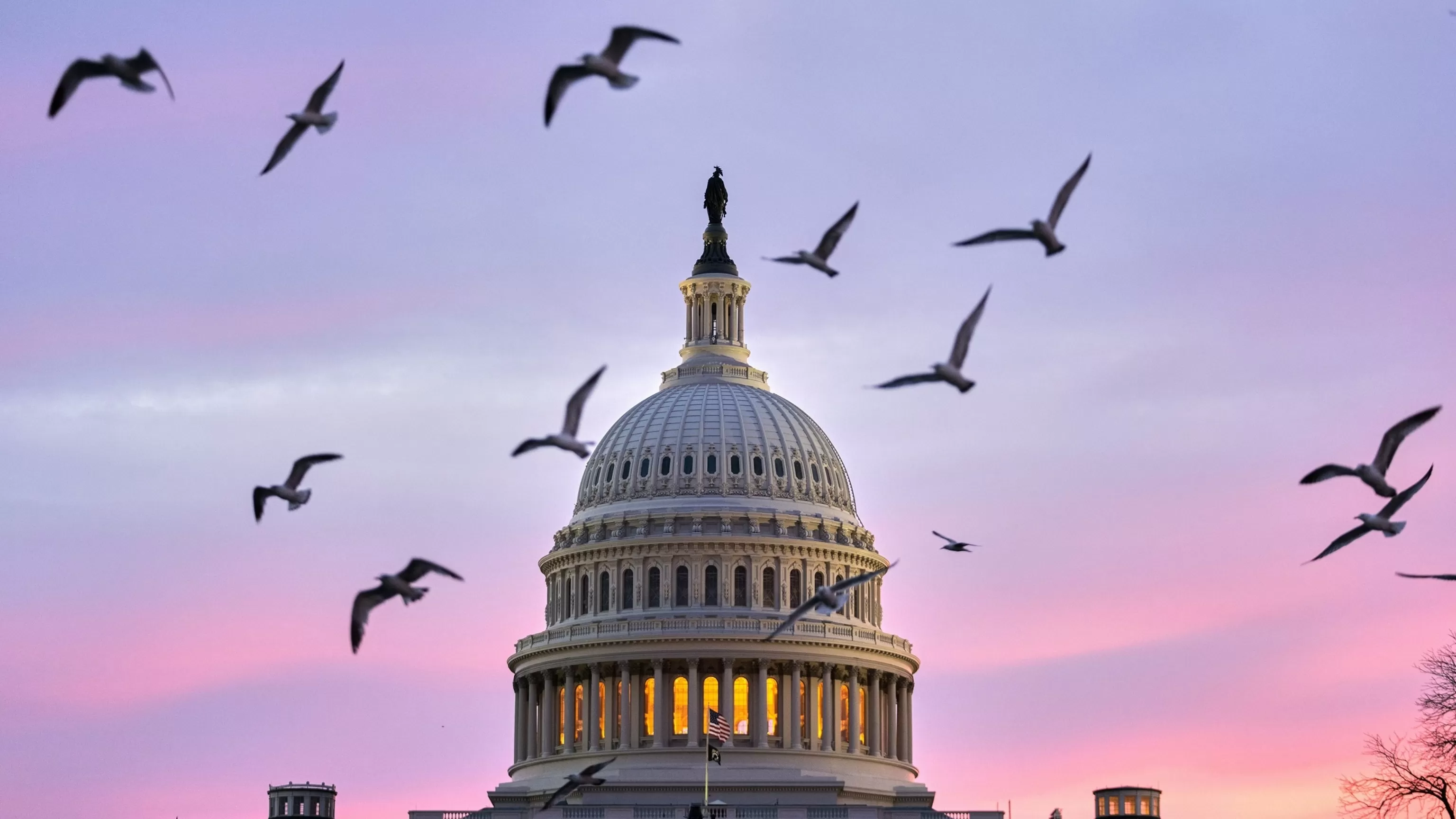 Senate once again fails to advance DHS funding bill