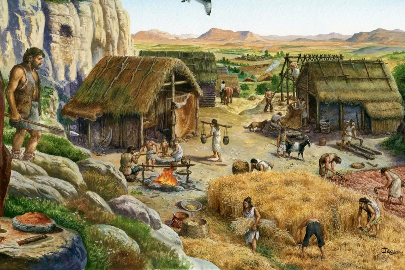 Human populations evolved in similar ways after we began farming