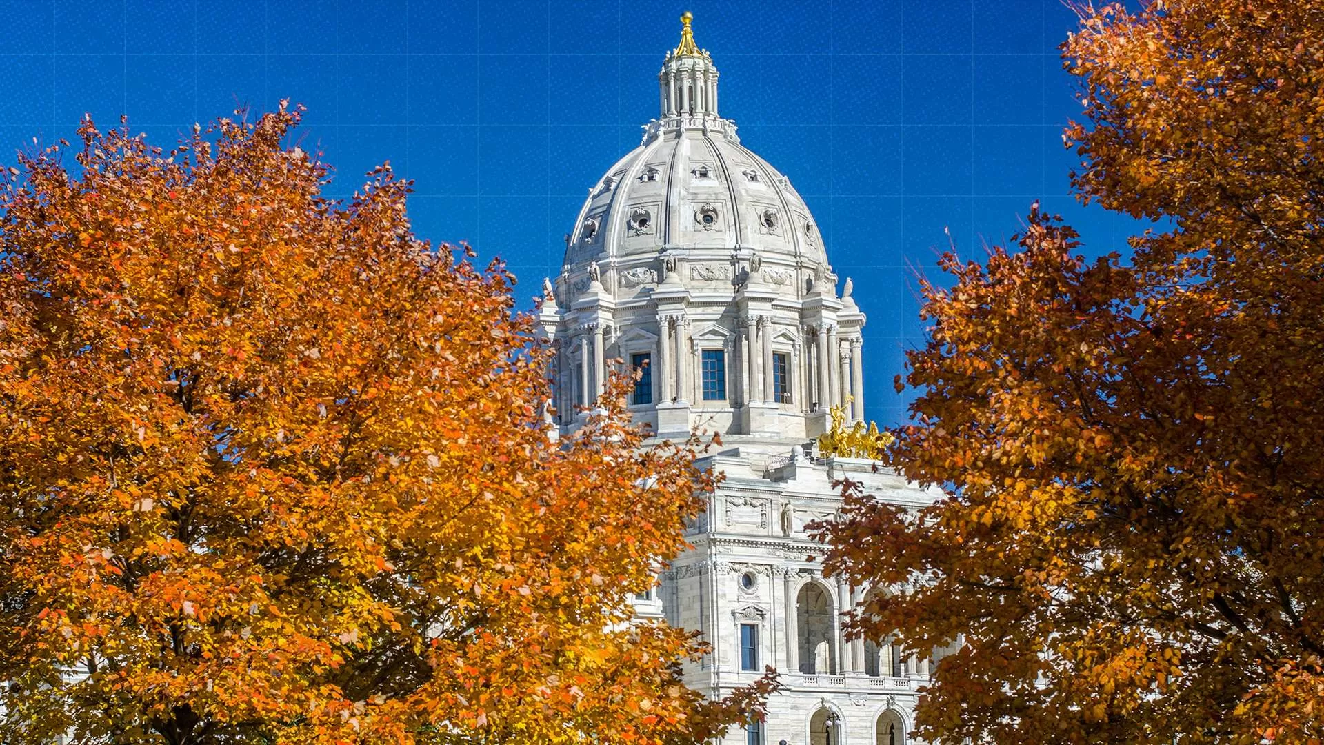 Minnesota Bills Would Create State Right To Sue Government Officials for Constitutional Violations
