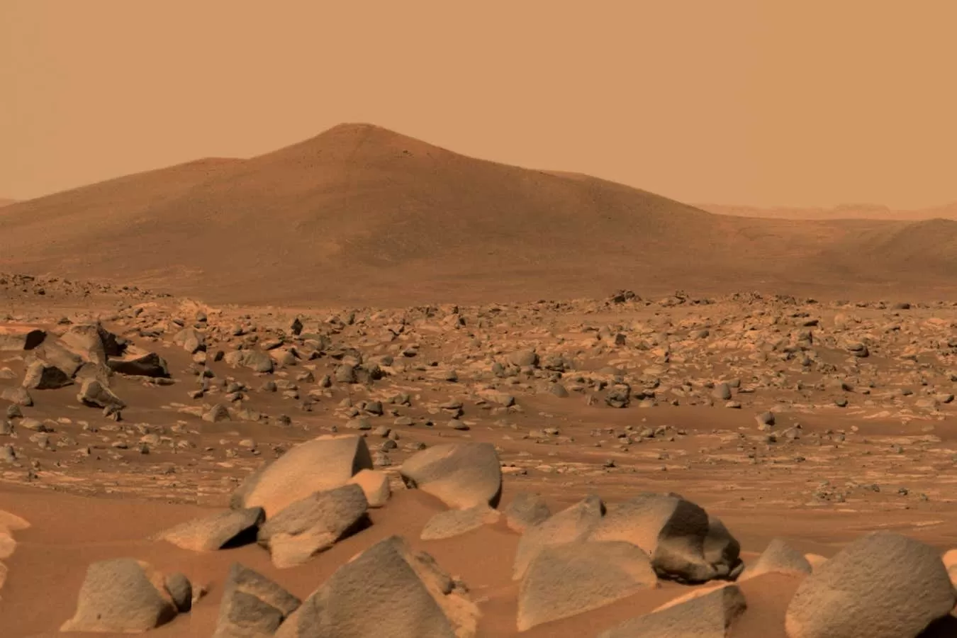 Author of Red Mars calls 'bullshit' on emigrating to the planet