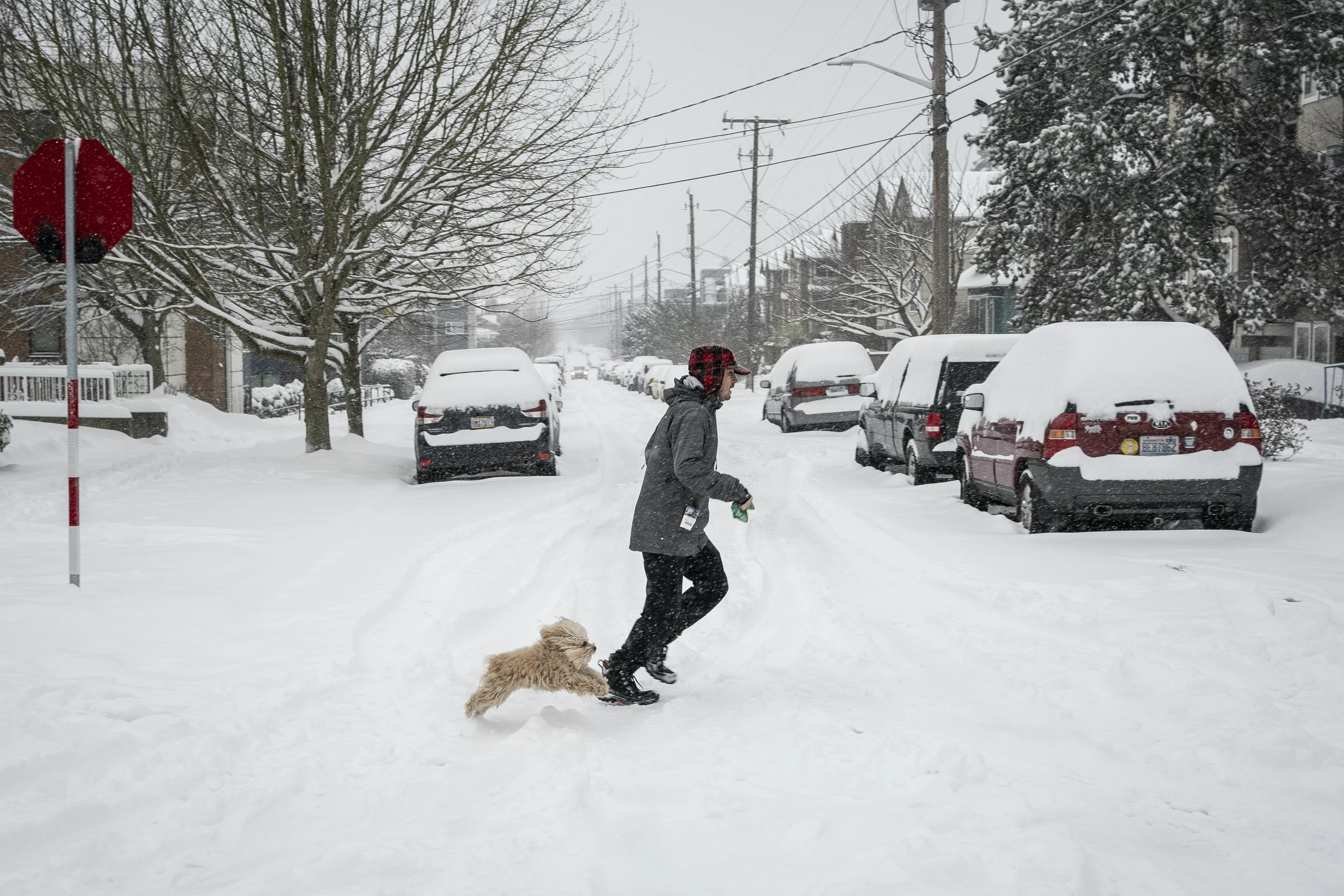 Heavy Snow Warning As up to 4 Feet To Strike: 'Delay All Travel'
