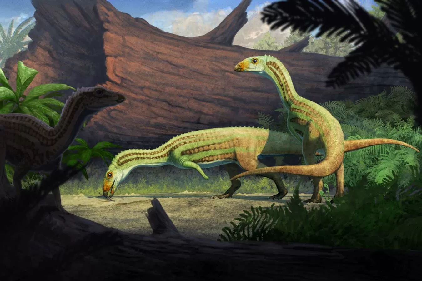 Ancient 'weirdo' reptile graduated from 4 legs to 2 in adolescence