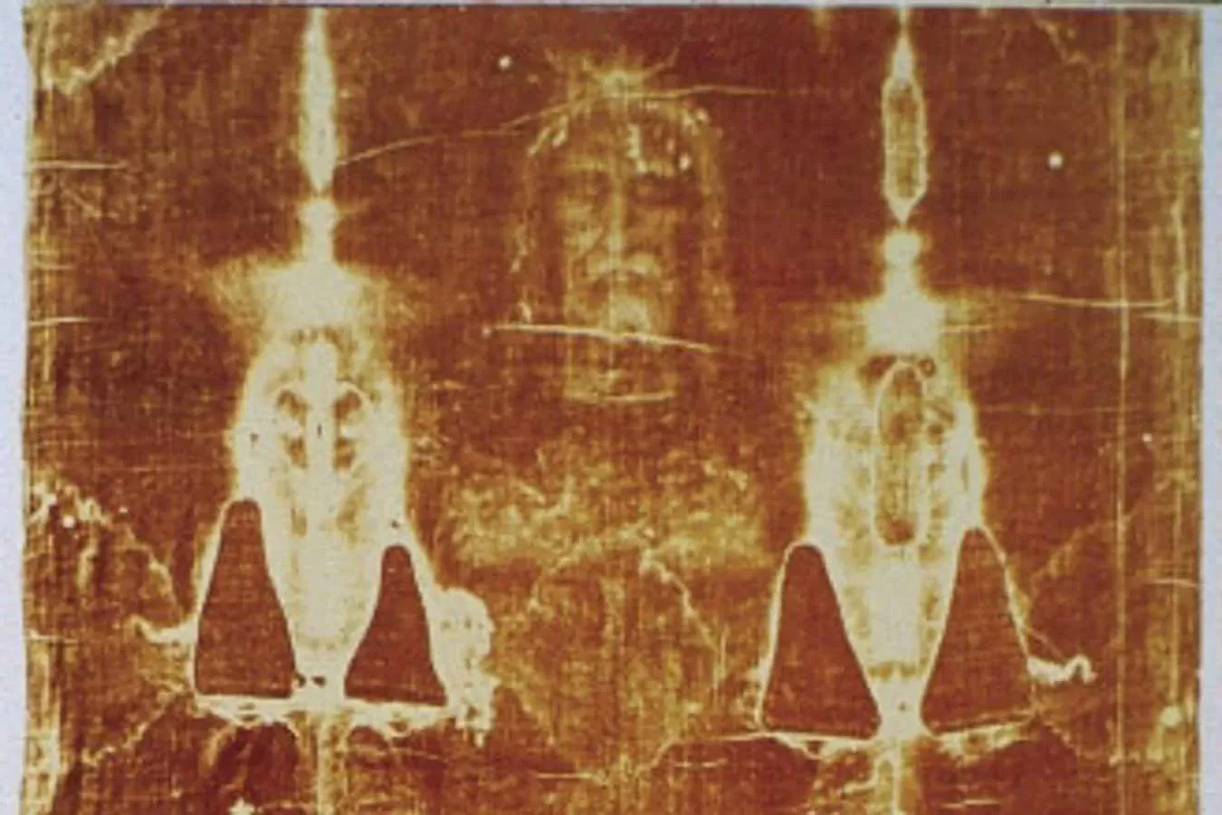 The Shroud of Turin bears DNA from many people, plants and animals