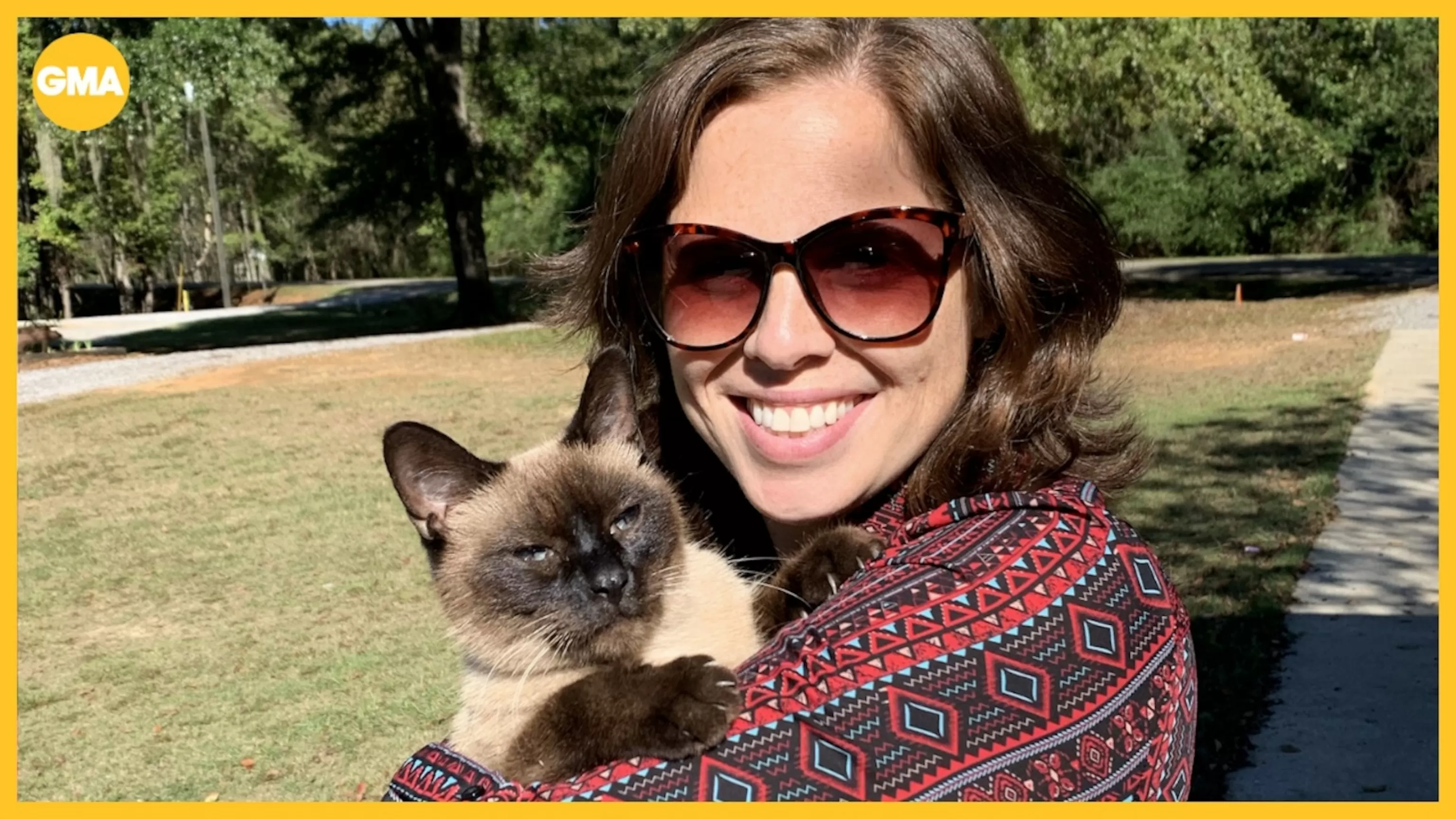 WATCH:  Woman reunited with lost cat urges people to microchip their pets