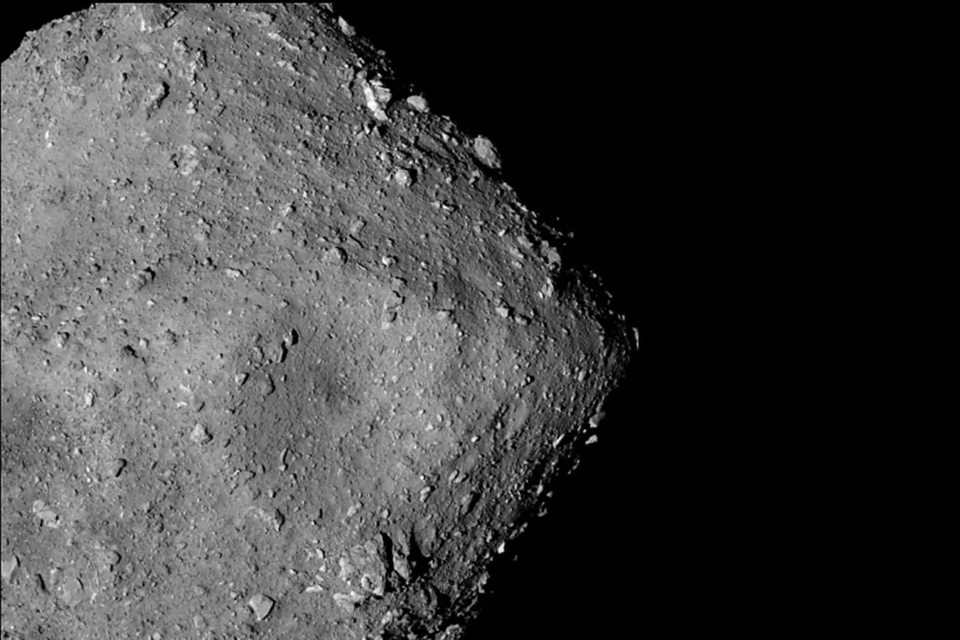 The asteroid Ryugu has all of the main ingredients for life