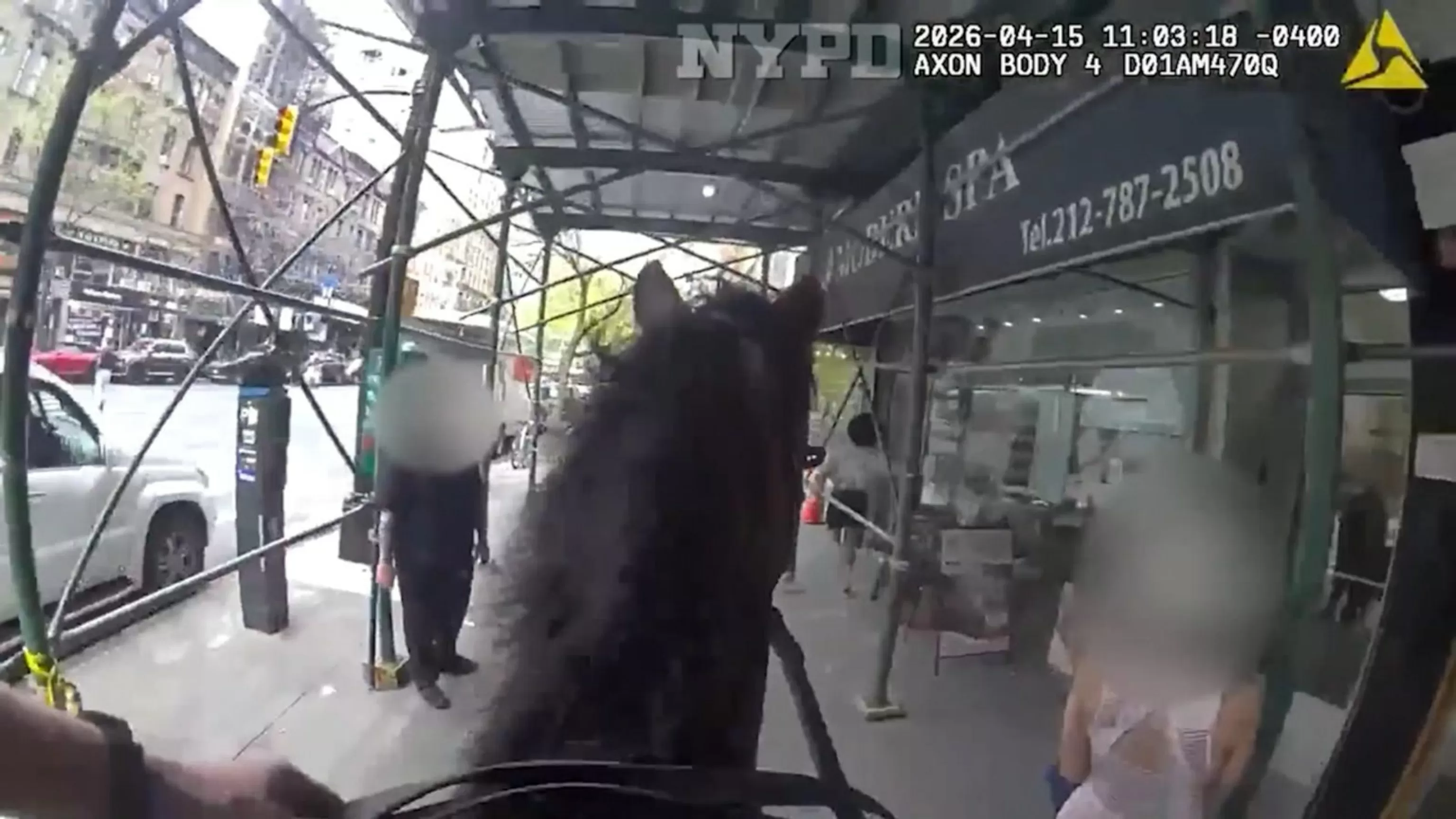 WATCH: NYPD officer chases suspect through Manhattan on horseback