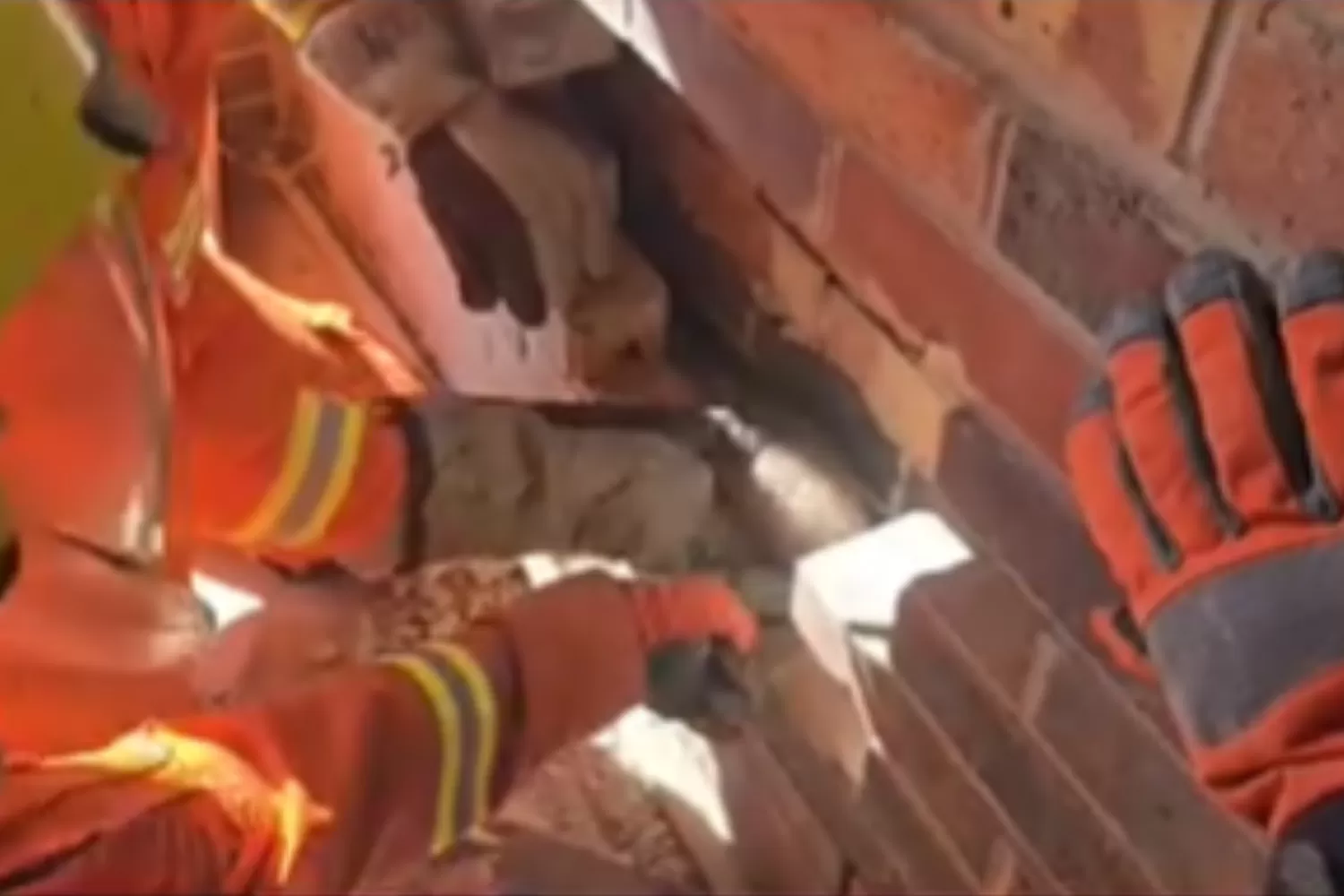Family Hear Something in the Walls—Not Prepared for What Fire Service Find