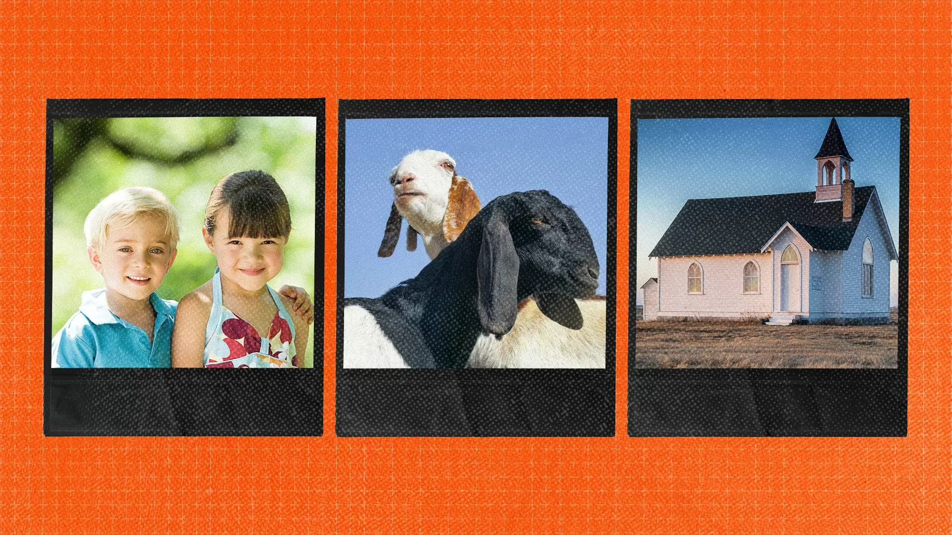 Zoning's War on Cuddly Animals, Cute Kids, and Christian Charity