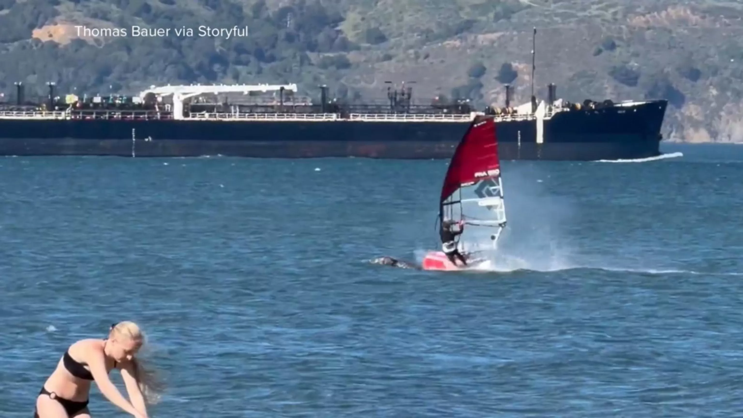 WATCH:  Windsurfer collides with whale in San Francisco Bay