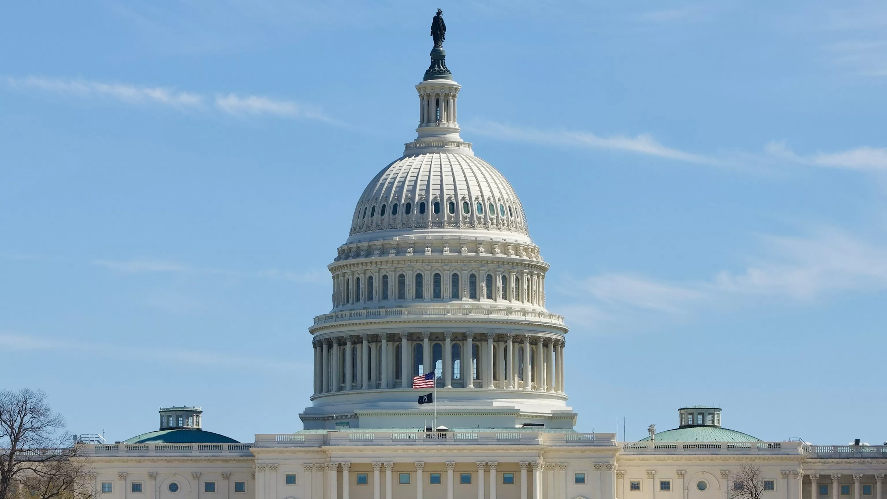 Johnson, Thune announce plan to end DHS shutdown 'in the coming days'