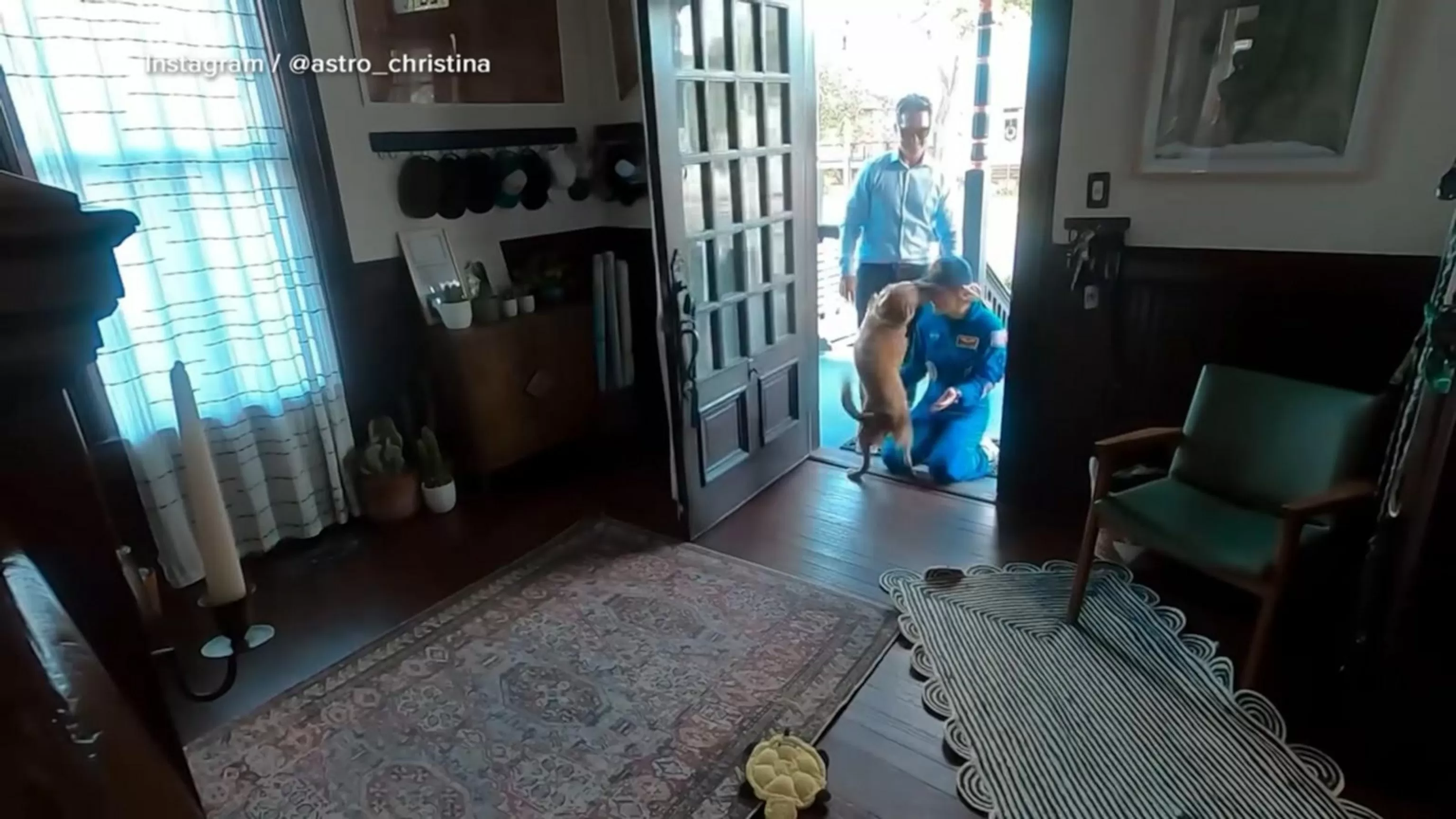 WATCH: Artemis II astronaut reunites with her dog